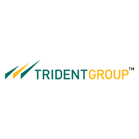 trident-group-vector-logo-small